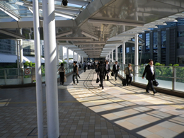 �X�J�C�E�F�C